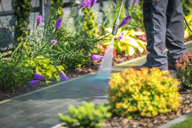 Best Parking Lot and Garage Cleaning  in Blakely, GA