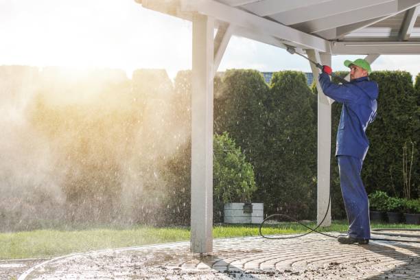 Best Soft Washing  in Blakely, GA