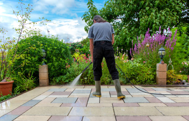 Best Driveway Pressure Washing  in Blakely, GA